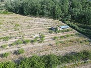 Terreno R�stico - Carvi�ais, Torre de Moncorvo, Bragan�a - Miniatura: 6/9