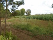 Terreno R�stico - Valado dos Frades, Nazar�, Leiria - Miniatura: 7/9