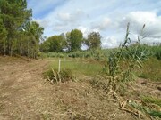Terreno R�stico - Valado dos Frades, Nazar�, Leiria - Miniatura: 8/9