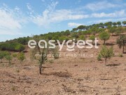Terreno R�stico - Azinhal, Castro Marim, Faro (Algarve) - Miniatura: 1/9