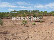 Terreno R�stico - Azinhal, Castro Marim, Faro (Algarve) - Miniatura: 2/9
