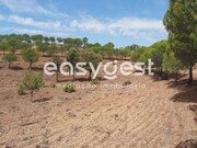 Terreno R�stico - Azinhal, Castro Marim, Faro (Algarve) - Miniatura: 3/9