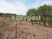 Terreno R�stico - Azinhal, Castro Marim, Faro (Algarve) - Miniatura: 4/9