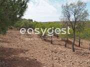 Terreno R�stico - Azinhal, Castro Marim, Faro (Algarve) - Miniatura: 6/9