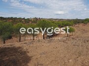 Terreno R�stico - Azinhal, Castro Marim, Faro (Algarve) - Miniatura: 7/9