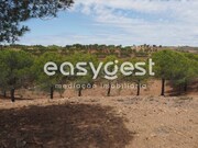 Terreno R�stico - Azinhal, Castro Marim, Faro (Algarve) - Miniatura: 8/9