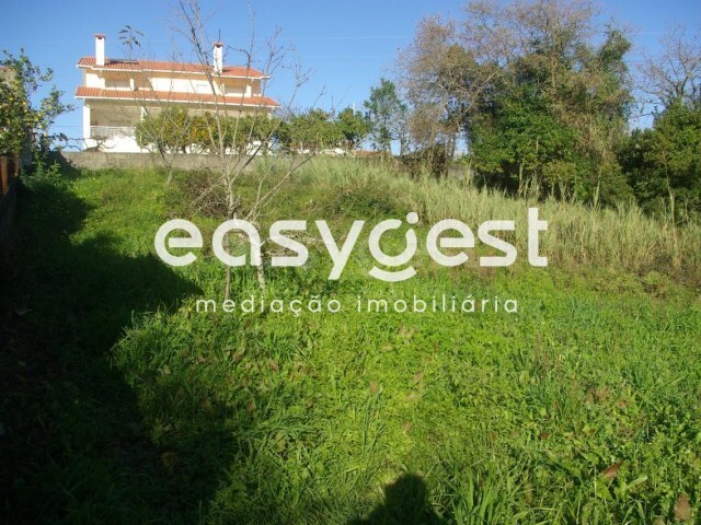 Terreno R�stico - Santa Clara, Coimbra, Coimbra - Imagem grande