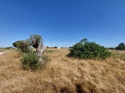 Terreno R�stico - Palmela, Palmela, Set�bal
