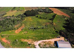 Terreno R�stico - Maiorga, Alcoba�a, Leiria