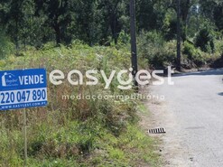 Terreno R�stico - Santa Maria da Feira, Santa Maria da Feira, Aveiro