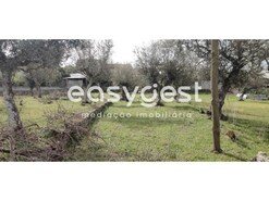 Terreno R�stico - Escalos de Cima, Castelo Branco, Castelo Branco