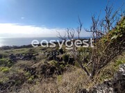 Terreno Rstico - Candelria, Madalena, Ilha do Pico - Miniatura: 3/9