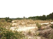 Terreno Urbano - Vau, �bidos, Leiria - Miniatura: 5/9