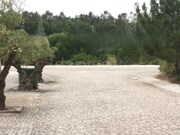Terreno Urbano - Vau, �bidos, Leiria - Miniatura: 9/9