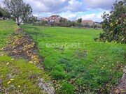 Moradia T6 - Carvi�ais, Torre de Moncorvo, Bragan�a - Miniatura: 3/9