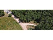 Terreno R�stico - S�o Miguel, Penela, Coimbra - Miniatura: 1/9