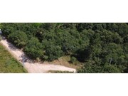 Terreno R�stico - S�o Miguel, Penela, Coimbra - Miniatura: 2/9