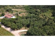 Terreno R�stico - S�o Miguel, Penela, Coimbra - Miniatura: 3/9