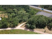 Terreno R�stico - S�o Miguel, Penela, Coimbra - Miniatura: 6/9
