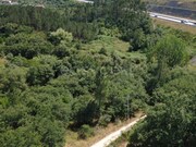 Terreno R�stico - S�o Miguel, Penela, Coimbra - Miniatura: 9/9