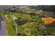 Terreno R�stico - Maiorga, Alcoba�a, Leiria - Miniatura: 2/9