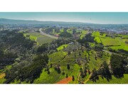 Terreno R�stico - Maiorga, Alcoba�a, Leiria - Miniatura: 6/9