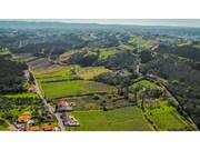 Terreno R�stico - Maiorga, Alcoba�a, Leiria - Miniatura: 7/9