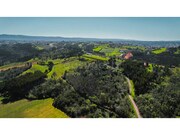 Terreno R�stico - Maiorga, Alcoba�a, Leiria - Miniatura: 9/9
