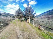Terreno R�stico - Poiares, Freixo de Espada � Cinta, Bragan�a - Miniatura: 5/9