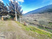 Terreno R�stico - Poiares, Freixo de Espada � Cinta, Bragan�a - Miniatura: 6/9
