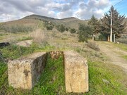 Terreno R�stico - Poiares, Freixo de Espada � Cinta, Bragan�a - Miniatura: 8/9