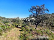Moradia T1 - Corte do Pinto, M�rtola, Beja - Miniatura: 5/7