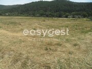 Terreno R�stico - Paul, Covilh�, Castelo Branco - Miniatura: 1/4