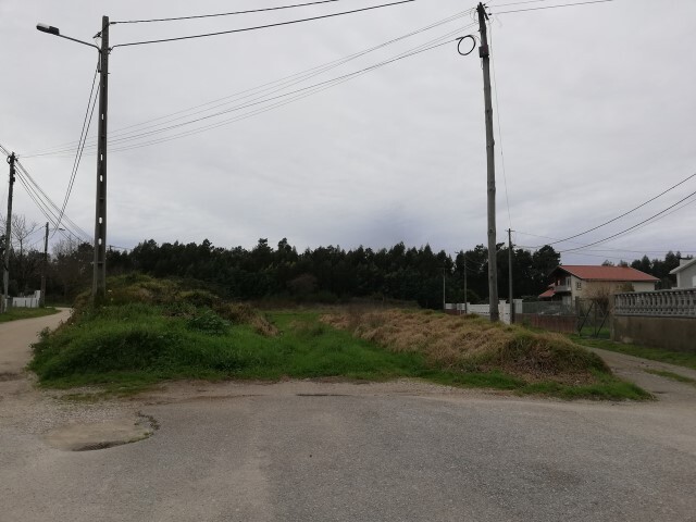 Terreno Rústico - Esgueira, Aveiro, Aveiro - Imagem grande