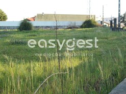Terreno R�stico - Ovar, Ovar, Aveiro