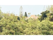Apartamento T0 - Olhos de �gua, Albufeira, Faro (Algarve) - Miniatura: 7/9