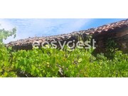 Moradia T1 - Carvi�ais, Torre de Moncorvo, Bragan�a - Miniatura: 4/9