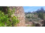 Moradia T1 - Carvi�ais, Torre de Moncorvo, Bragan�a - Miniatura: 6/9