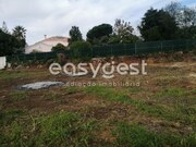 Terreno R�stico - Condeixa-a-Velha, Condeixa-a-Nova, Coimbra - Miniatura: 1/9