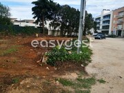 Terreno R�stico - Condeixa-a-Velha, Condeixa-a-Nova, Coimbra - Miniatura: 2/9