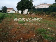 Terreno R�stico - Condeixa-a-Velha, Condeixa-a-Nova, Coimbra - Miniatura: 3/9