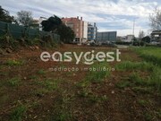 Terreno R�stico - Condeixa-a-Velha, Condeixa-a-Nova, Coimbra - Miniatura: 4/9