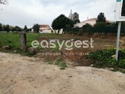 Terreno R�stico - Condeixa-a-Velha, Condeixa-a-Nova, Coimbra - Miniatura: 5/9