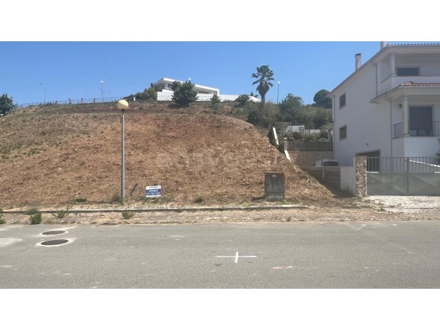 Terreno R�stico - Maiorga, Alcoba�a, Leiria - Imagem grande