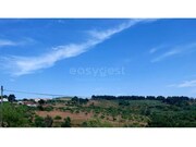 Moradia T4 - Carvi�ais, Torre de Moncorvo, Bragan�a - Miniatura: 2/9