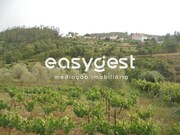 Moradia T2 - Aldeia do Mato, Abrantes, Santar�m - Miniatura: 9/9