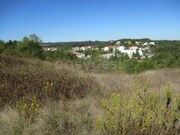 Terreno R�stico - Soure, Soure, Coimbra - Miniatura: 1/4