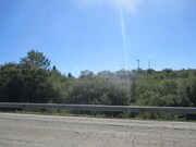 Terreno R�stico - Soure, Soure, Coimbra - Miniatura: 3/4