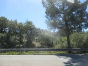 Terreno R�stico - Soure, Soure, Coimbra - Miniatura: 4/4