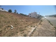 Terreno R�stico - Maiorga, Alcoba�a, Leiria - Miniatura: 4/6